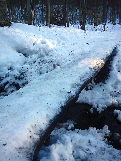 Glat - 2010 01